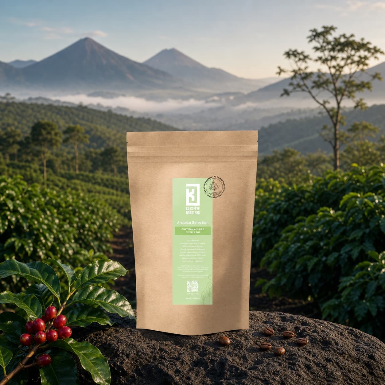 Guatemala SHB EP Estella Top 5