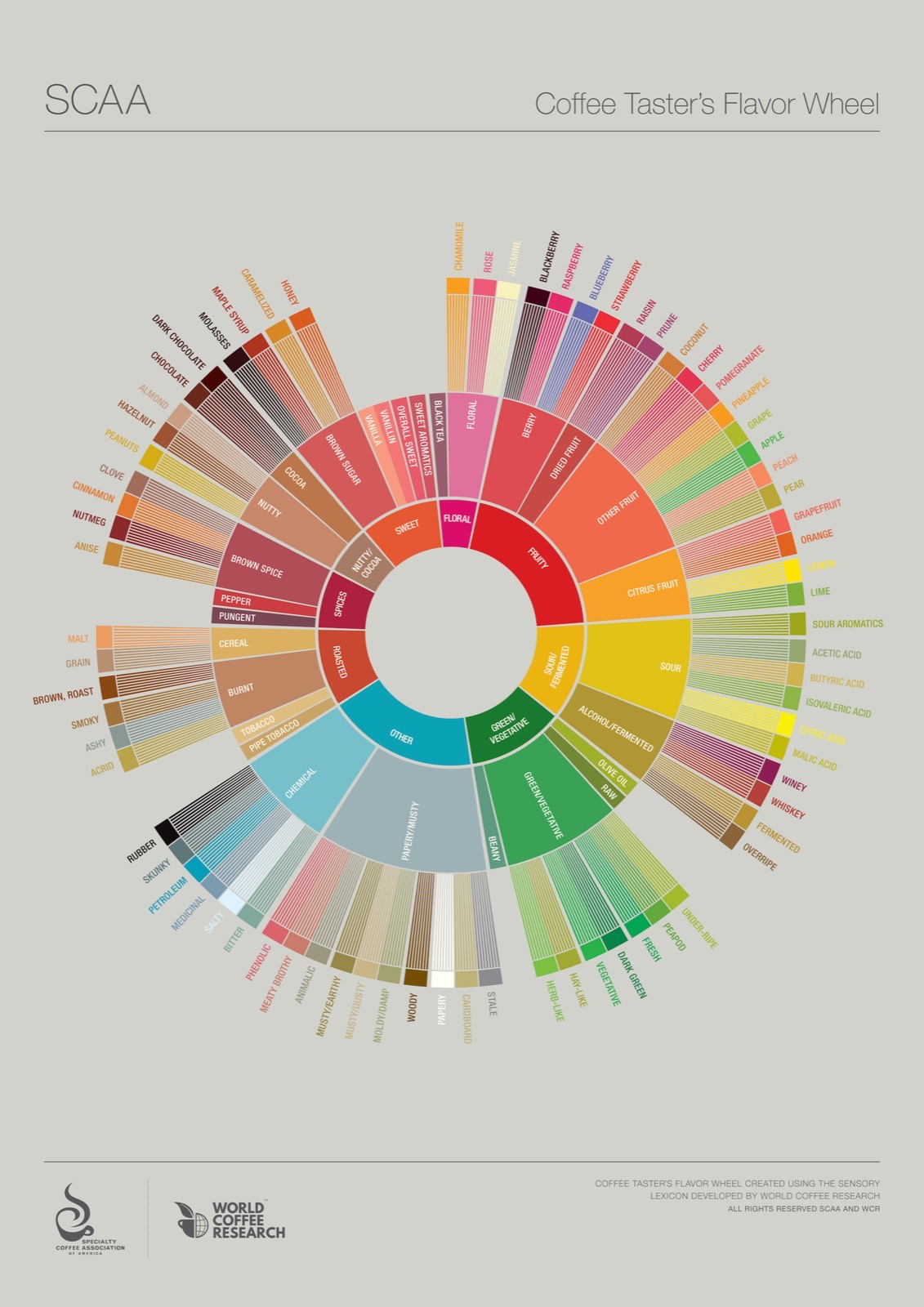 Točak ukusa kafe (flavor wheel)